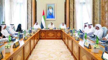 «الوزاري للتنمية» يناقش مبادرات ومشاريع لدعم المنظومة الحكومية