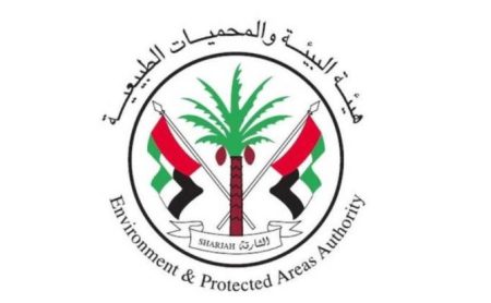 هيئة البيئة والمحميات الطبيعية بالشارقة تنفي وجود نمر في إحدى مناطق الإمارة