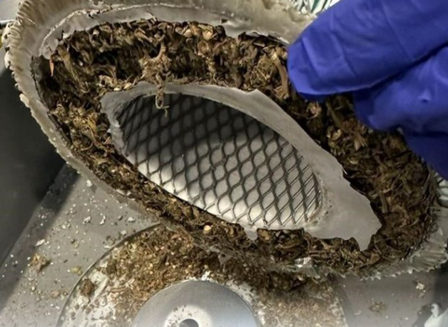 أخفتها في ثنايا محرك السيارات.. جمارك دبي تضبط “الماريجوانا” مع مسافرة افريفية