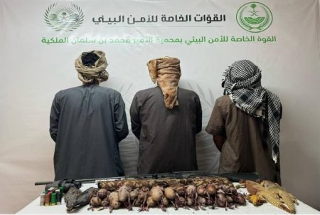«الأمن البيئي» تقبض على 3 مخالفين لارتكابهم مخالفة الصيد دون ترخيص