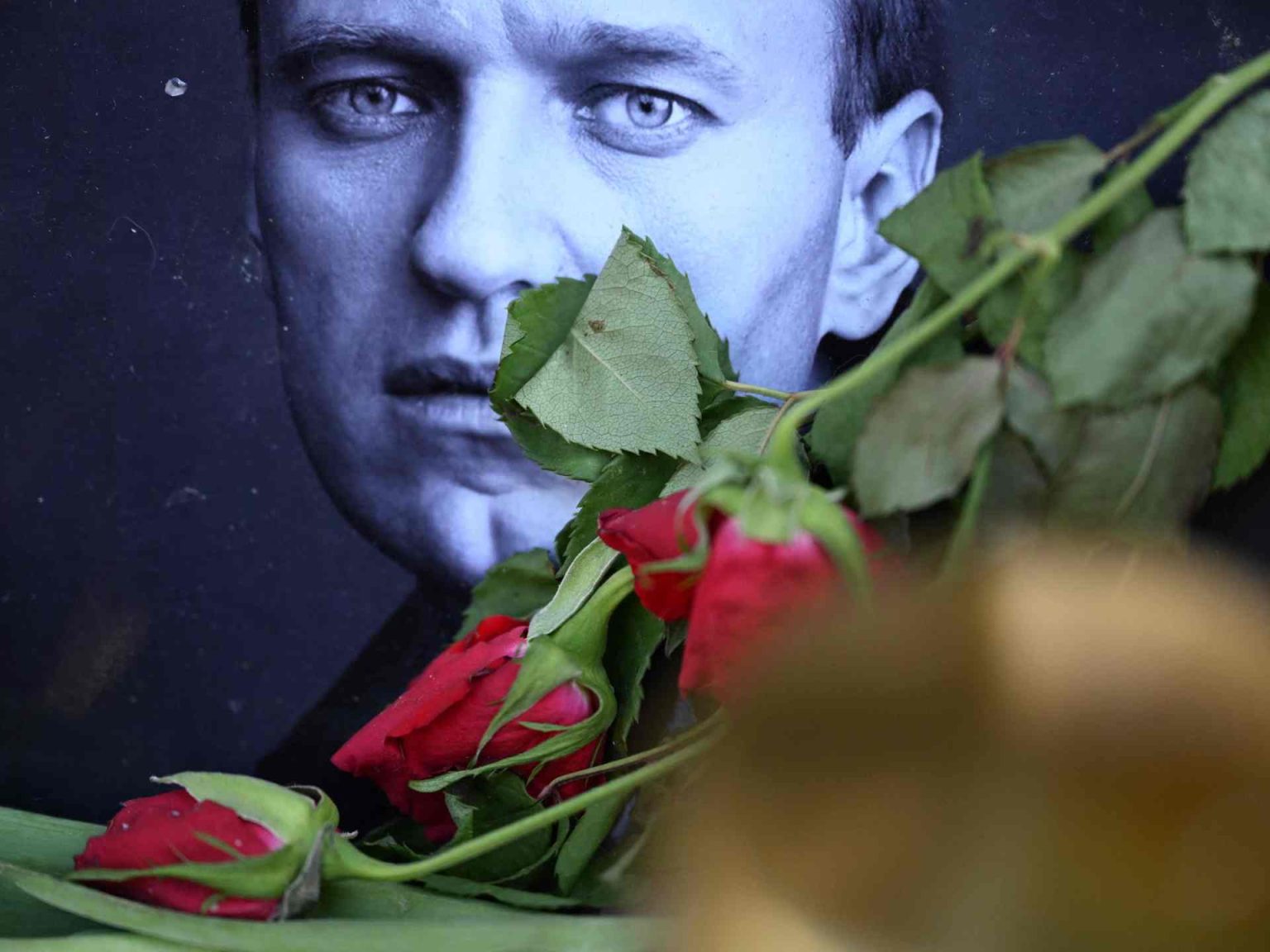 المخابرات الأميركية ترجح أن بوتين لم يأمر بقتل نافالني