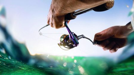 «بيئة أبوظبي» تصدر 4181 رخصة صيد ترفيهي في 2023