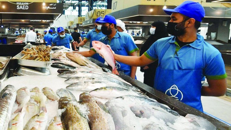1571 طن أسماك حصيلة الصيد والاستزراع في أبوظبي