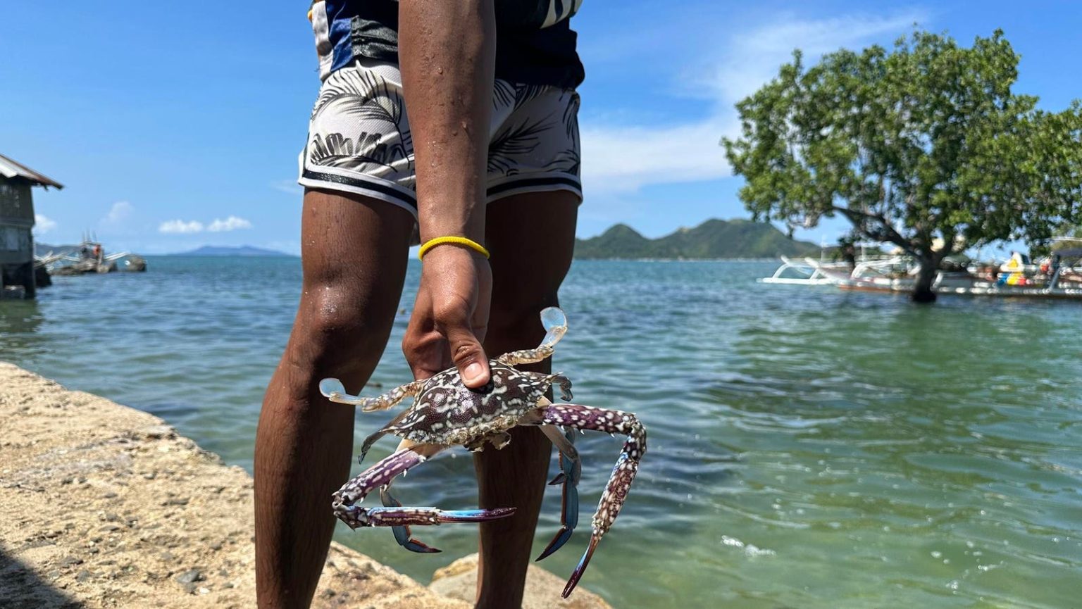 من النبيذ التوسكاني إلى مناجم منغوليا، تقنية البلوكشين تحول سلاسل الإمداد