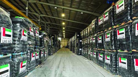 وصول شحنة مساعدات إماراتية بحراً إلى غزة