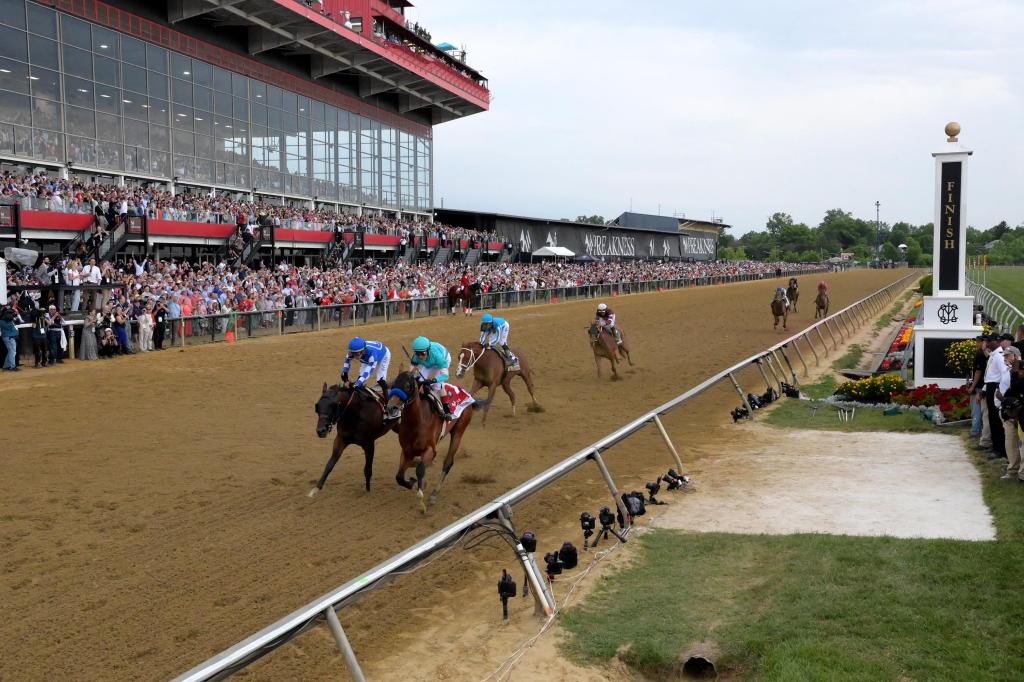 التنبؤات بسباق بريكنيس ستيكس، الفرص: نصائح للمراهنات، توقعات للسبت في سباق بيمليكو