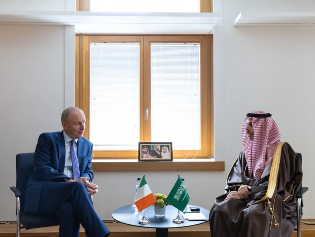 وزير الخارجية يبحث مع نظيره الإيرلندي تطورات الأوضاع بغزة