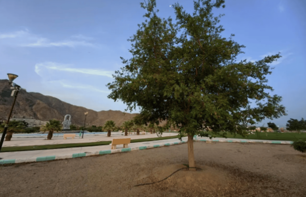 أمانة نجران تهيئ الحدائق والمتنزهات لاستقبال الزوّار