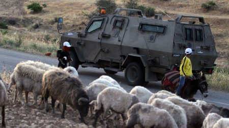 مركز إسرائيلي يكشف مخططا لتهجير رعاة فلسطينيين بالضفة
