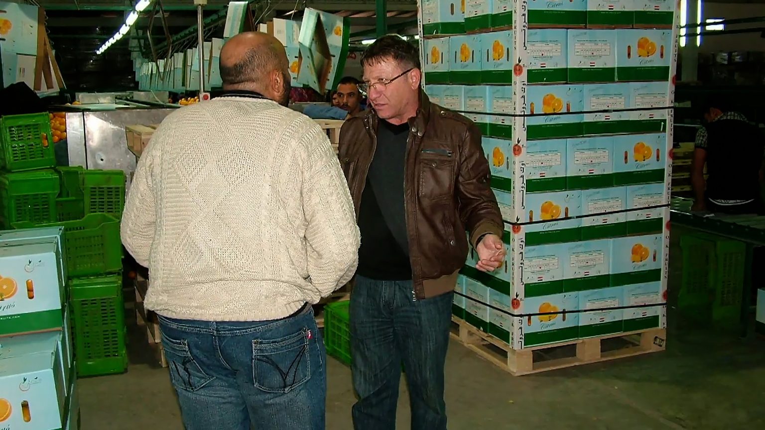 “شالوم من أولاد غزة”.. وسم يغزو المنصات بعد فيديو قتل إسرائيلي بالإسكندرية