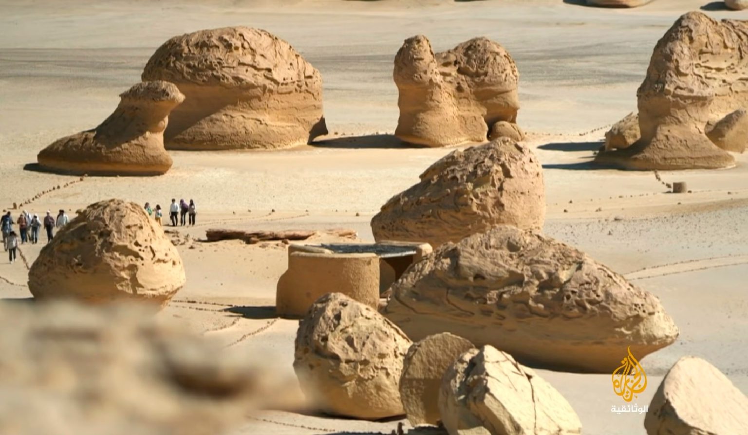 “وادي الحيتان”.. موطن الحوت الذي يمشي على أقدامه