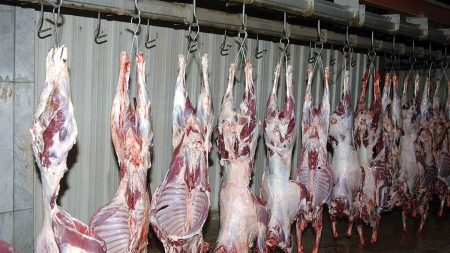 "بيئة مكة" تنفذ تجربة فرضية لتكدس الأضاحي بأحد المسالخ