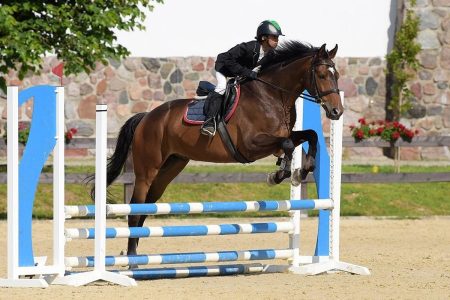 البواب.. من عاشق للفروسية إلى فارسٍ محترف