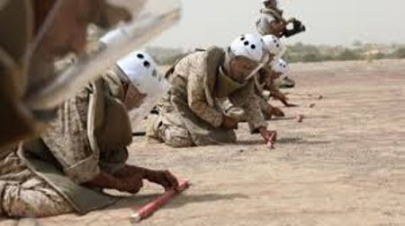 مشروع "مسام" ينزع 955 لغمًا في اليمن خلال أسبوع