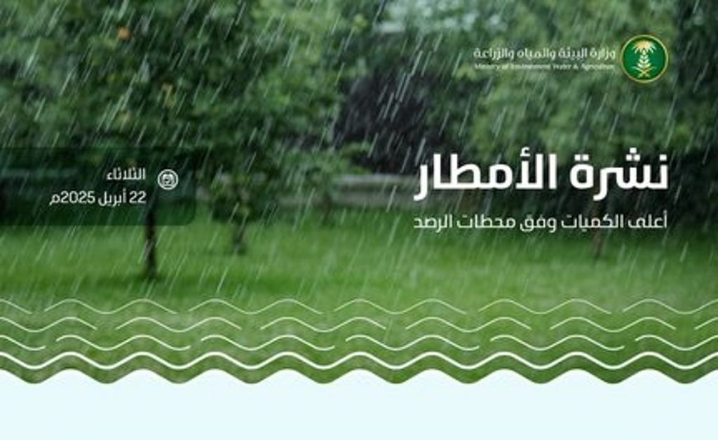 «البيئة» ترصد هطول أمطار في 6 مناطق عبر 41 محطة والأسياح تسجل أعلى كمية بـ24.5 ملم بالقصيم