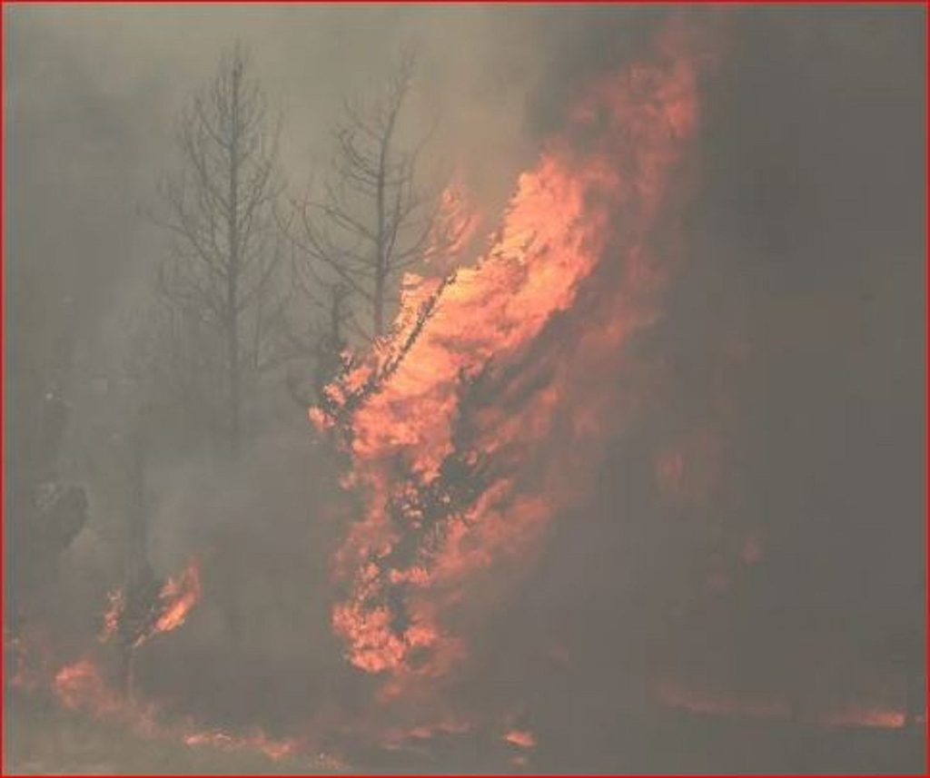 استمرار اشتعال حرائق القدس.. إسرائيل تعلن حالة الطوارئ وجيش الاحتلال يساعد في عمليات الإطفاء