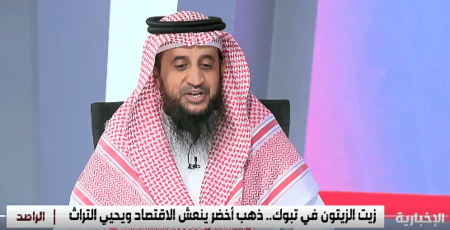 صاحب مزارع: الباحة تنتج حاليًا أجود أنواع الزيتون في المملكة