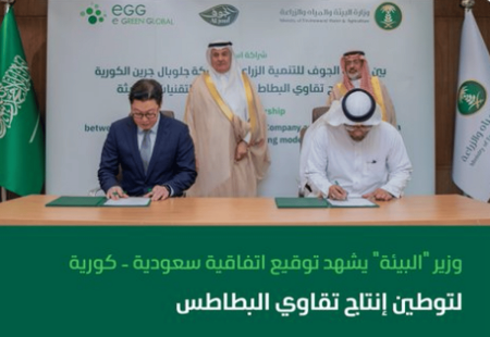 اتفاقية سعودية-كورية لتوطين إنتاج تقاوي البطاطس