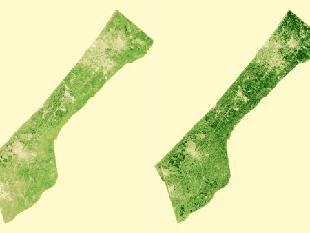 الأرض المحروقة.. “وصفة” إسرائيل لتجويع غزة