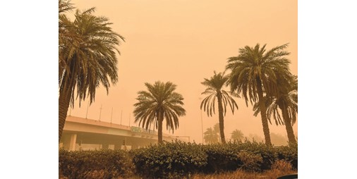 «الأرصاد الجوية»: رياح نشطة مثيرة للغبار وانخفاض الرؤية ببعض المناطق خلال الأسبوع