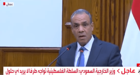 وزير الخارجية: ناقشنا مع الرئيس الفلسطيني الوضع الإنساني الكارثي في غزة ورفضنا مخططات التهجير (فيديو)