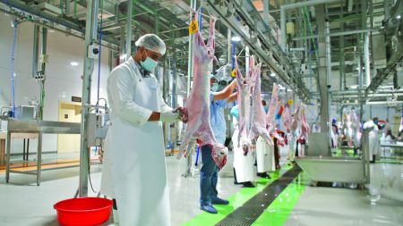 مخاطر صحية وبيئية ونفسية للذبح العشوائي