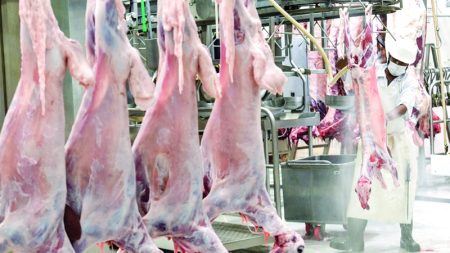 بلدية دبي: الكشف البيطري يضمن سلامة الذبائح