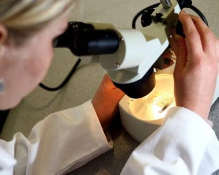 اكتشاف مذهل.. علاج مناعي يطيل حياة مرضى السرطان 40%