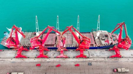 الشحنات الخشبية