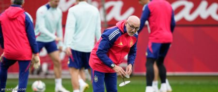 دي لا فوينتي يتحدى البرتغال بجيل الشباب