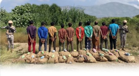 القبض على 10 مخالفين لنظام أمن الحدود لتهريبهم 220 كيلوجرامًا من القات بعسير