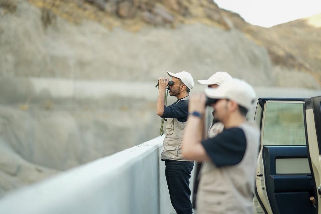 انتهاء موسم حج 1446 هـ دون رصد أي وجود لقرود البابون في المشاعر المقدسة