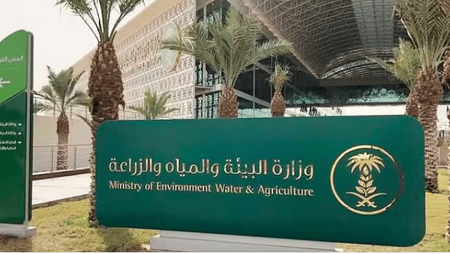 غدا.. بدء تطبيق ضوابط بيع المواشي الحية بالوزن باستخدام موازين معتمدة