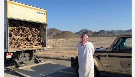 ضبط مواطن مخالف لنظام البيئة لنقله حطبًا محليًا في منطقة المدينة المنورة