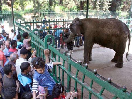 وزارة الزراعة تستقبل أكثر من 103 آلاف زائر بحدائقها خلال أيام عيد الأضحى