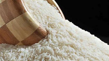 الكيلو بكام؟.. أسعار الأرز اليوم الثلاثاء 10 يونيو 2025 في الأسواق