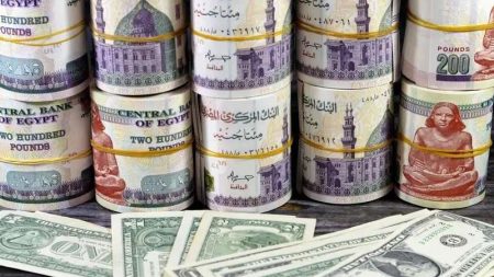 سعر الدولار اليوم الثلاثاء 24 يونيو 2025 مقابل الجنيه المصري