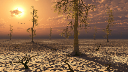 ليس بسبب الحروب.. دراسة صادمة تحذر من انقراض البشر خلال 100 عام