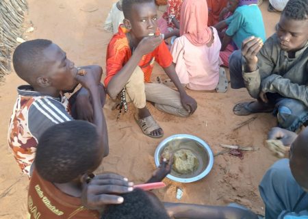 حصار الفاشر.. حين يتحول علف الحيوانات إلى طعام للبشر