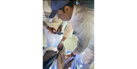 «هيئة الغذاء»: ضبط وإتلاف 10 أطنان من الروبيان والأسماك غير الصالحة للاستهلاك الآدمي