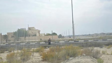 حافلات الشامخة