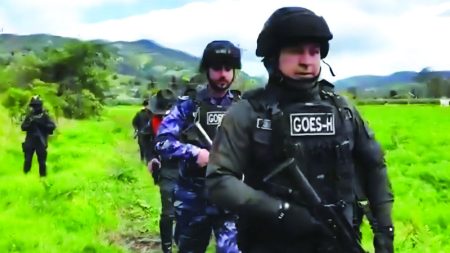 «الدرع الأخضر» بقيادة الإمارات تُفكك شبكات جرائم بيئية في الأمازون