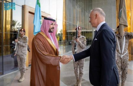 وزير الدفاع يبحث التعاون العسكري مع نظيره المجري