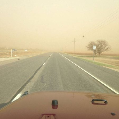 لمواجهة الظواهر الغبارية.. المملكة تحتفي باليوم العالمي لمكافحة العواصف