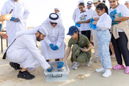 تعشيش السلاحف بشاطئ فويرط.. جهود قطرية لحماية الحياة البحرية
