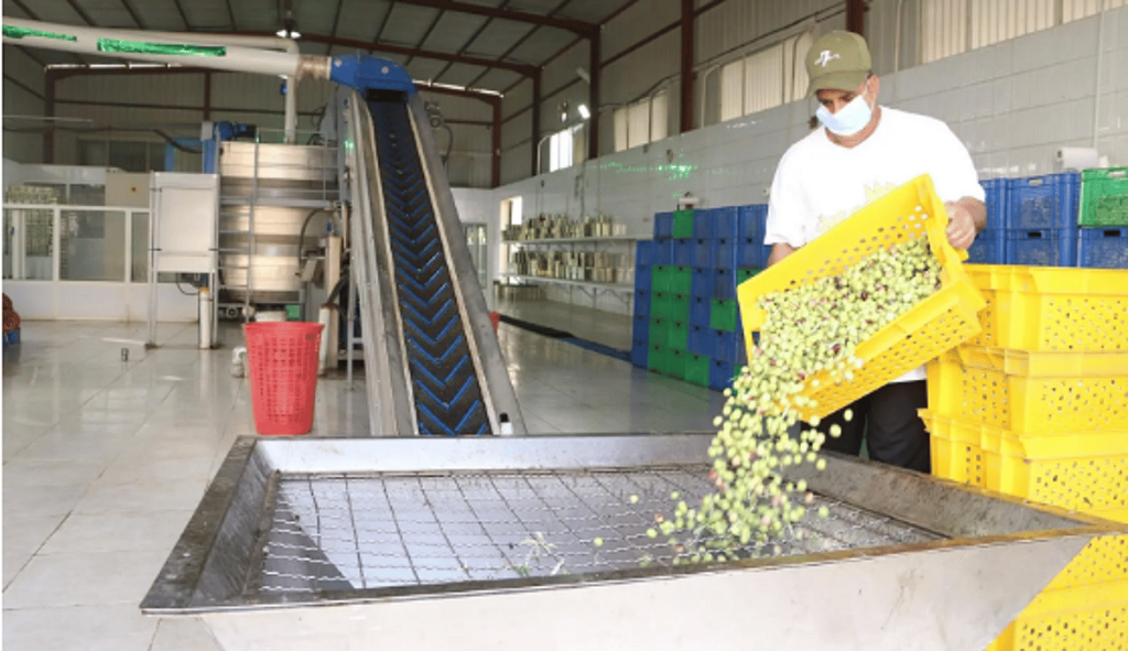 بيئة الجوف تبحث مع "الغذاء والدواء" برنامج تعزيز الممارسات الصحية بمعاصر الزيتون