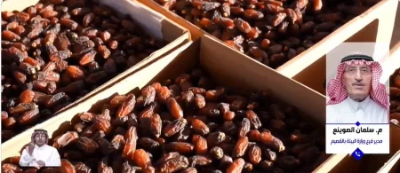 مسؤول: القصيم الأولى بقطاع النخيل بأكثر من 12 مليون نخلة