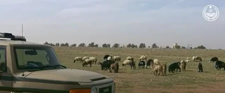 ضبط 29 مخالفا لنظام البيئة بعدة مناطق خلال أسبوع