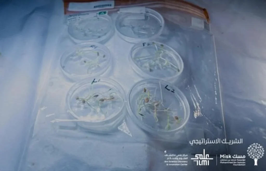 وكالة الفضاء السعودية: تجارب طلابية سعودية وعربية على متن محطة الفضاء الدولية