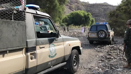 القبض على شخص لترويجه 25 كيلوجرامًا من القات في عسير